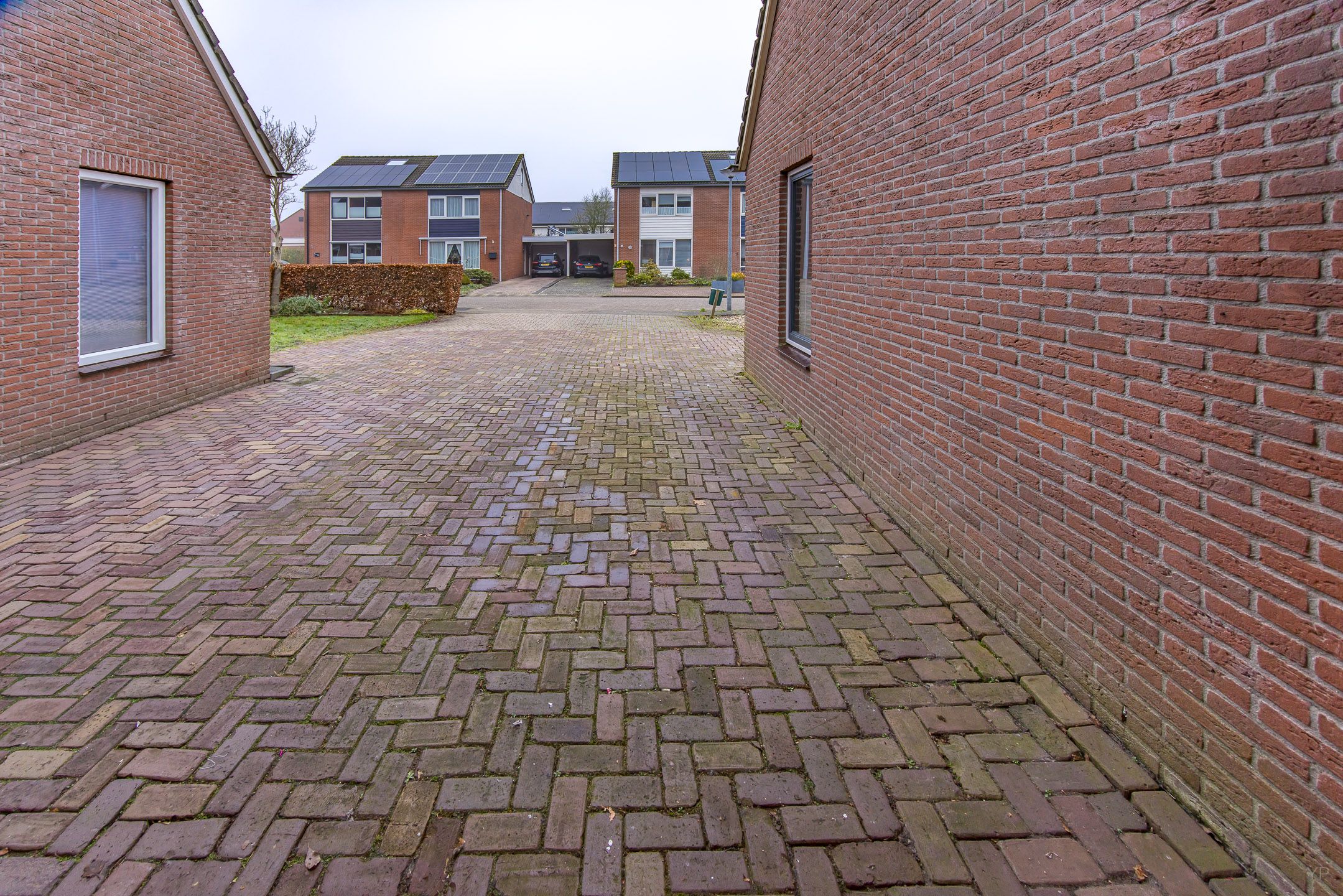 Foto 6 van Kalmoes 49