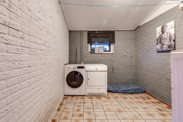 Foto 15 van Kalmoes 49