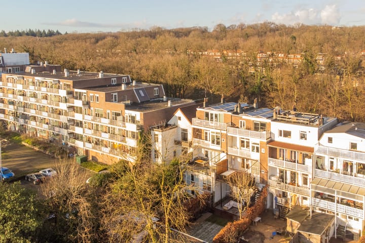 Foto 52 van Zuidelijke Parallelweg 14