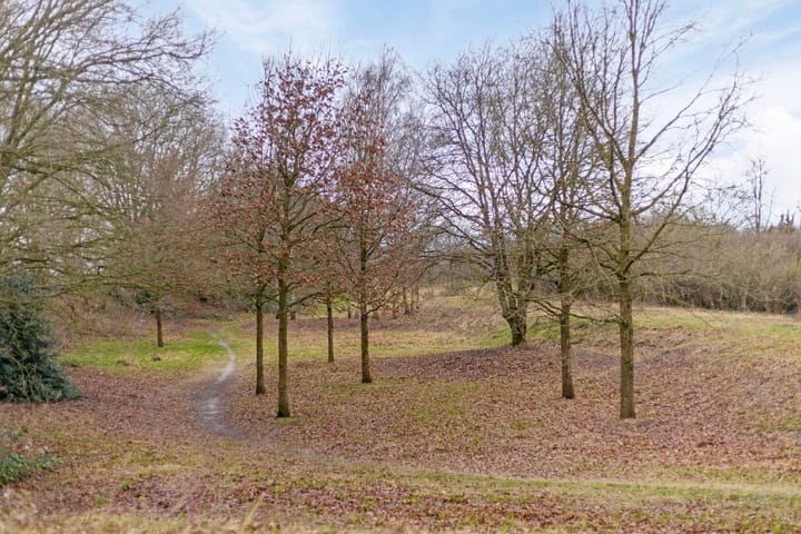 Photo 49 of Antoni Staringlaan 23