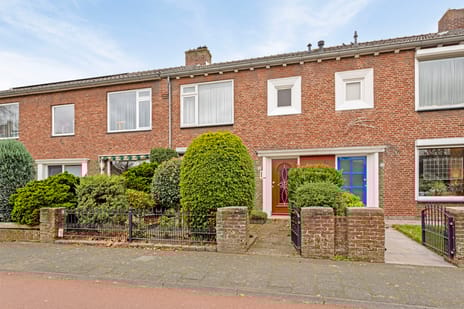 undefined main image