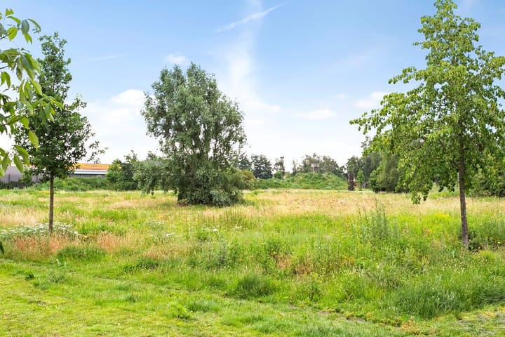 Photo 26 of Wislaan 5