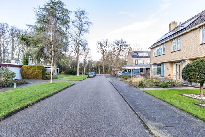 Foto 44 van Boskleane 3