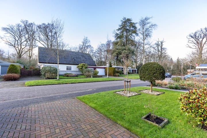 Foto 43 van Boskleane 3