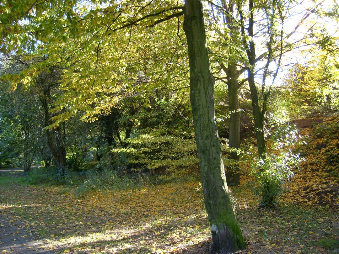 Foto 41 van Brucknerlaantje 147