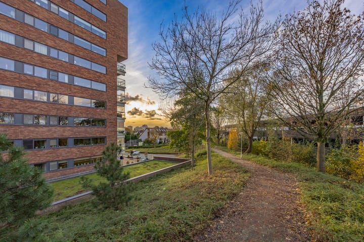 Foto 29 van Saloméschouw 22