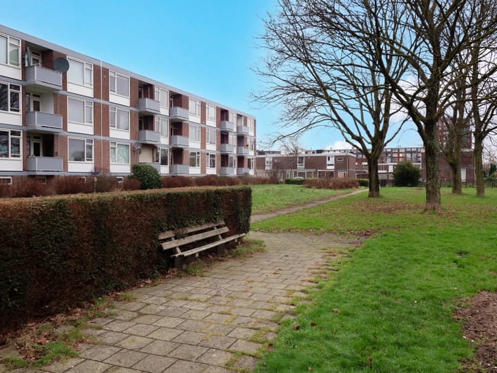 Foto 19 van Domela Nieuwenhuisstraat 3