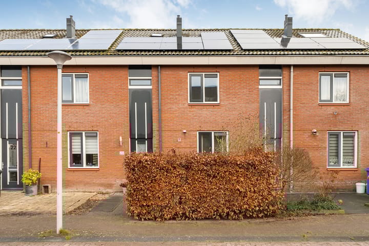 Foto 1 van Bultkroos 20