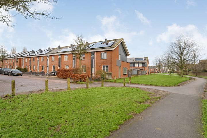 Foto 29 van Bultkroos 20