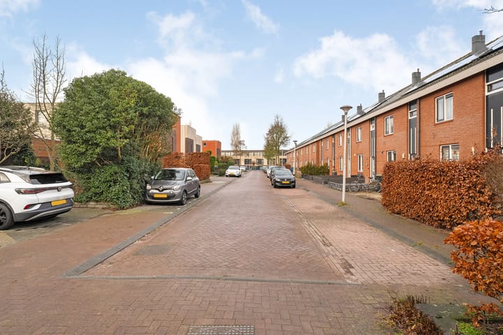 Foto 31 van Bultkroos 20