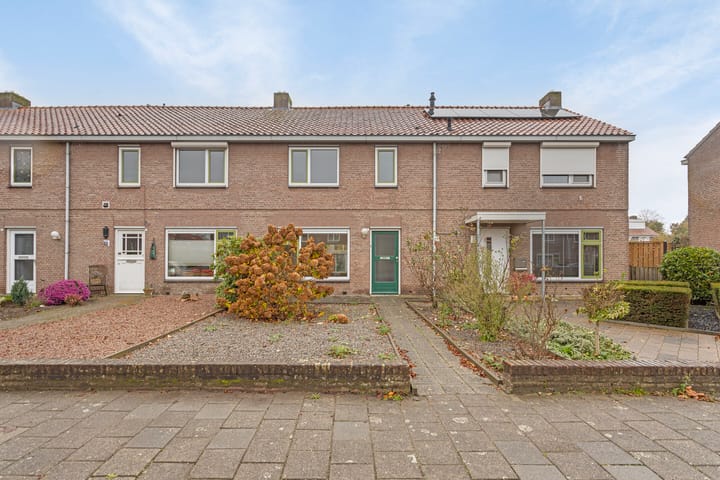 undefined main image