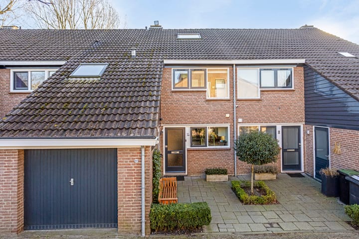 Foto 49 van Vlasweel 20