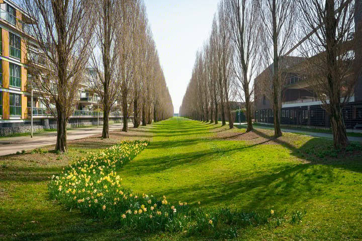 Foto 50 van Oscar Hammersteinstraat 54