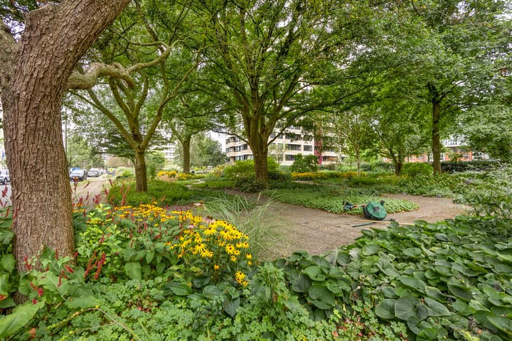 Foto 29 van Ruimzicht 263