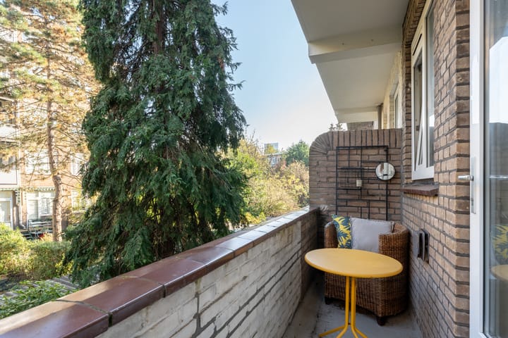 Foto 9 van Van Houtenstraat 16-B