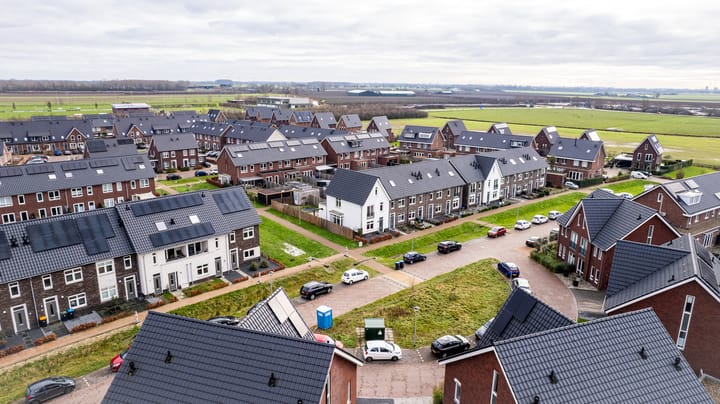 Foto 3 van Scholekster 19