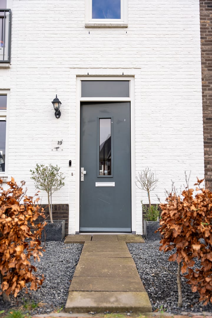 Foto 6 van Scholekster 19