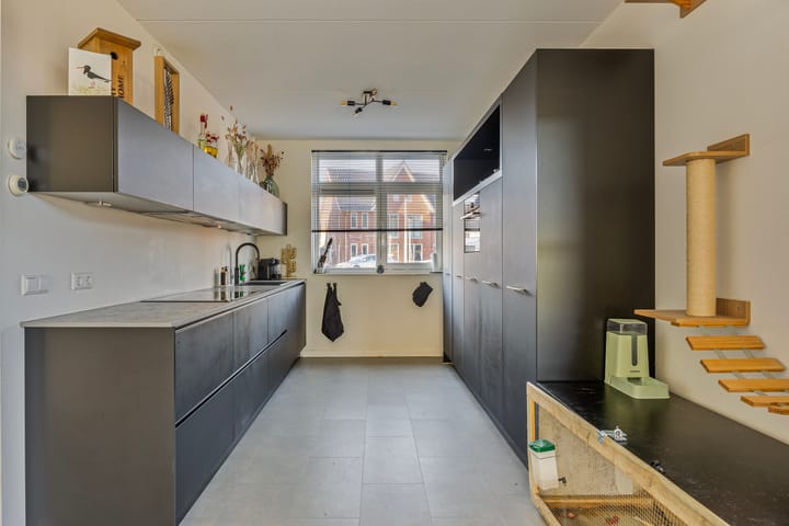 Foto 13 van Scholekster 19