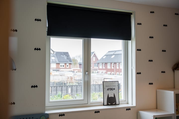 Foto 22 van Scholekster 19