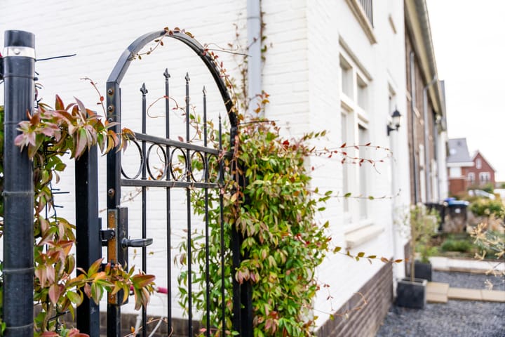 Foto 32 van Scholekster 19