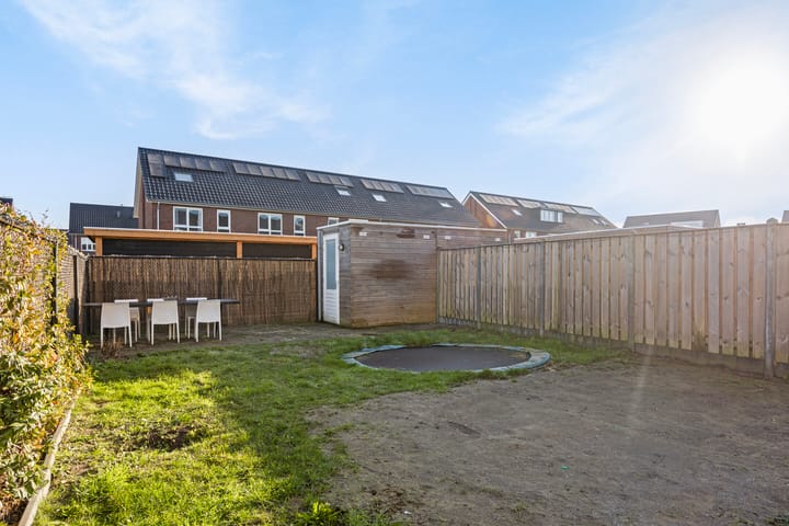 Foto 34 van Scholekster 19