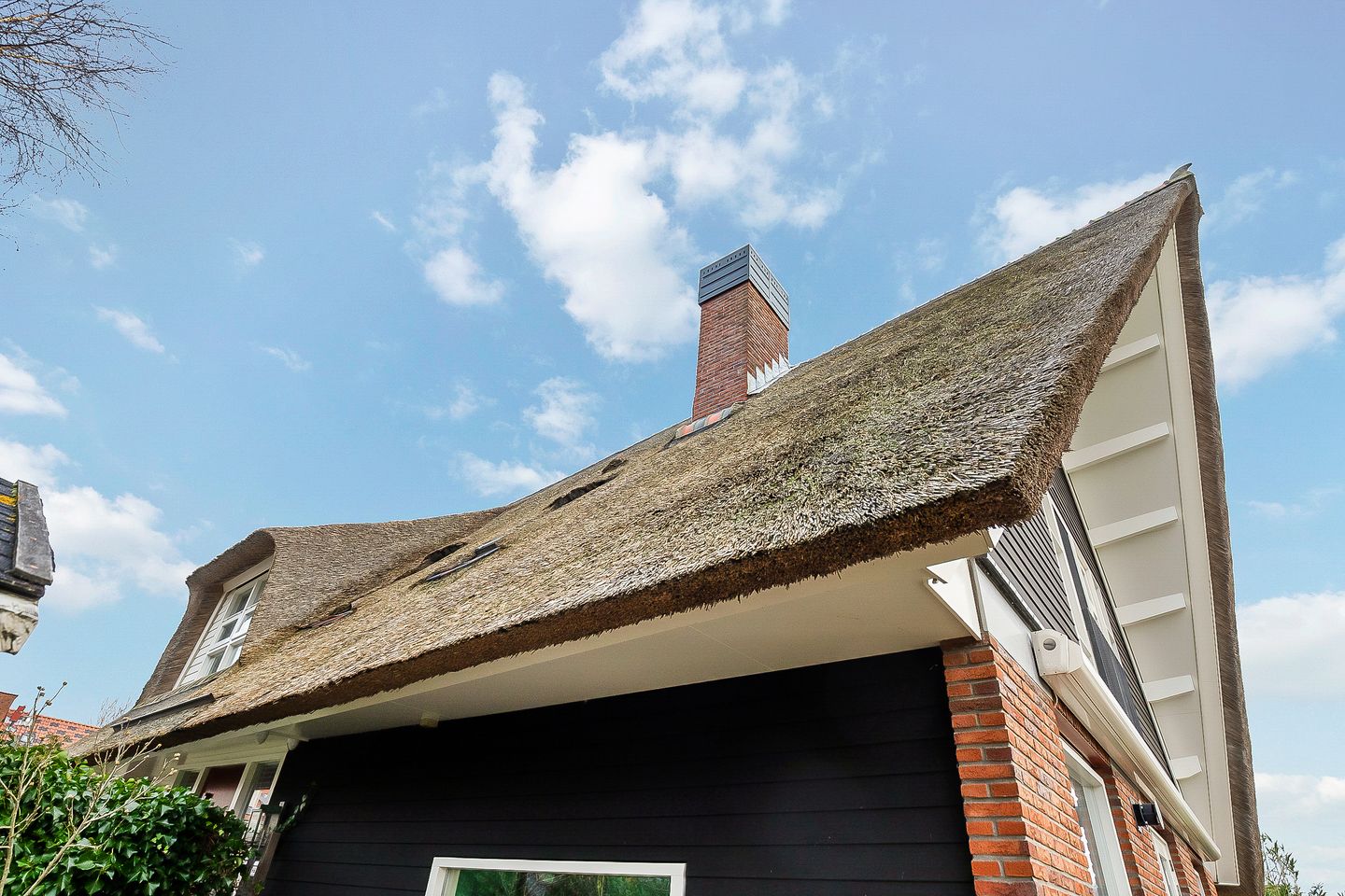 Foto 59 van Samba 14