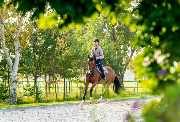 Foto 2 van Vreeweg 89