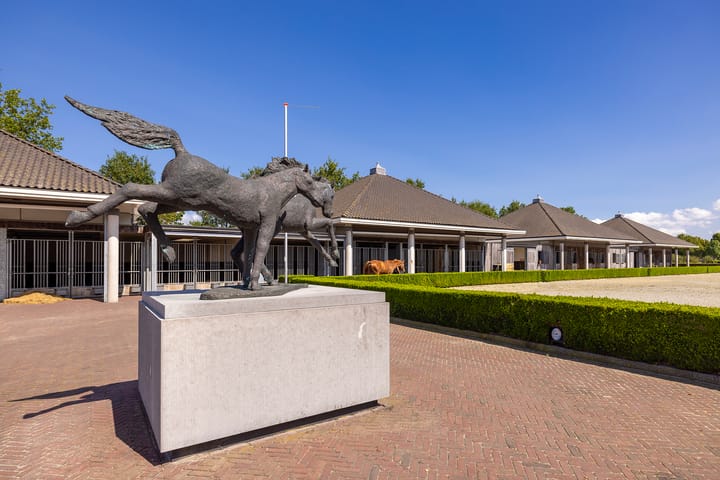 Foto 14 van Vreeweg 89