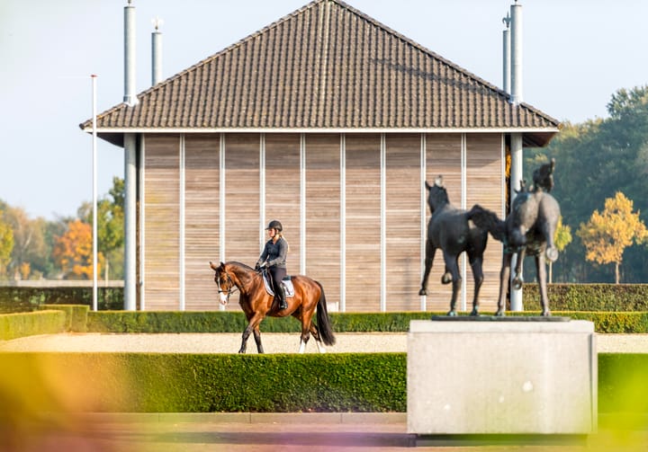 Foto 15 van Vreeweg 89