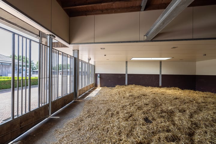 Foto 24 van Vreeweg 89