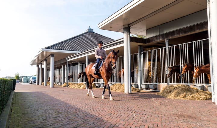 Foto 26 van Vreeweg 89