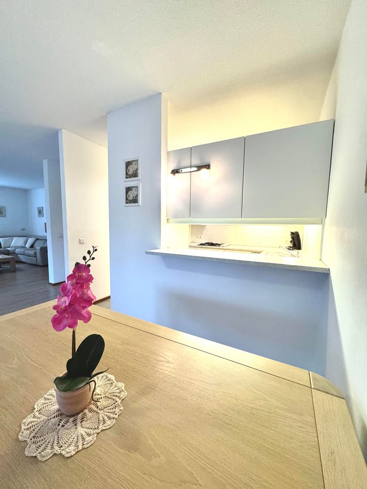 Photo 16 of Theo van Goghhof 75