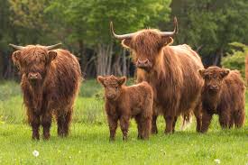 Foto 46 van Zeewoldestraat 21