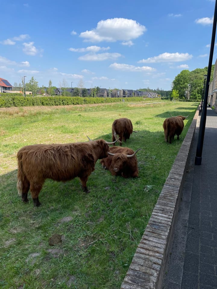 Foto 51 van Zeewoldestraat 21