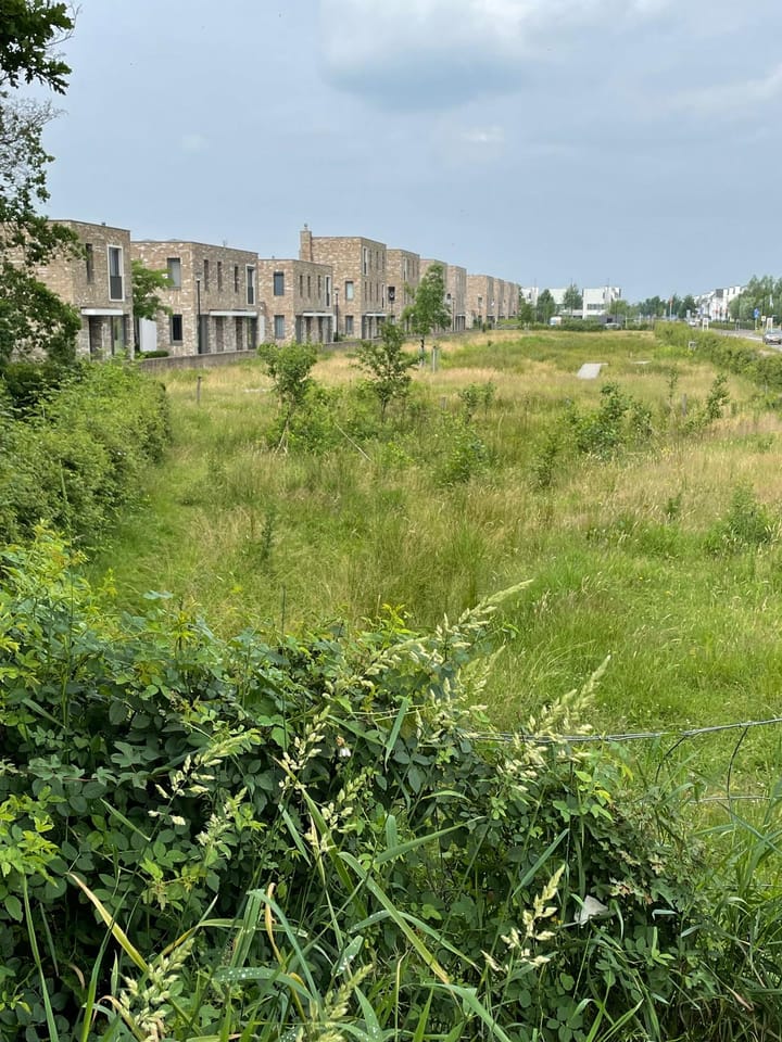 Foto 53 van Zeewoldestraat 21