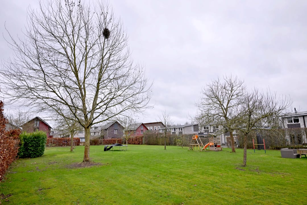 Foto 41 van Abraham Teerlinkstraat 29