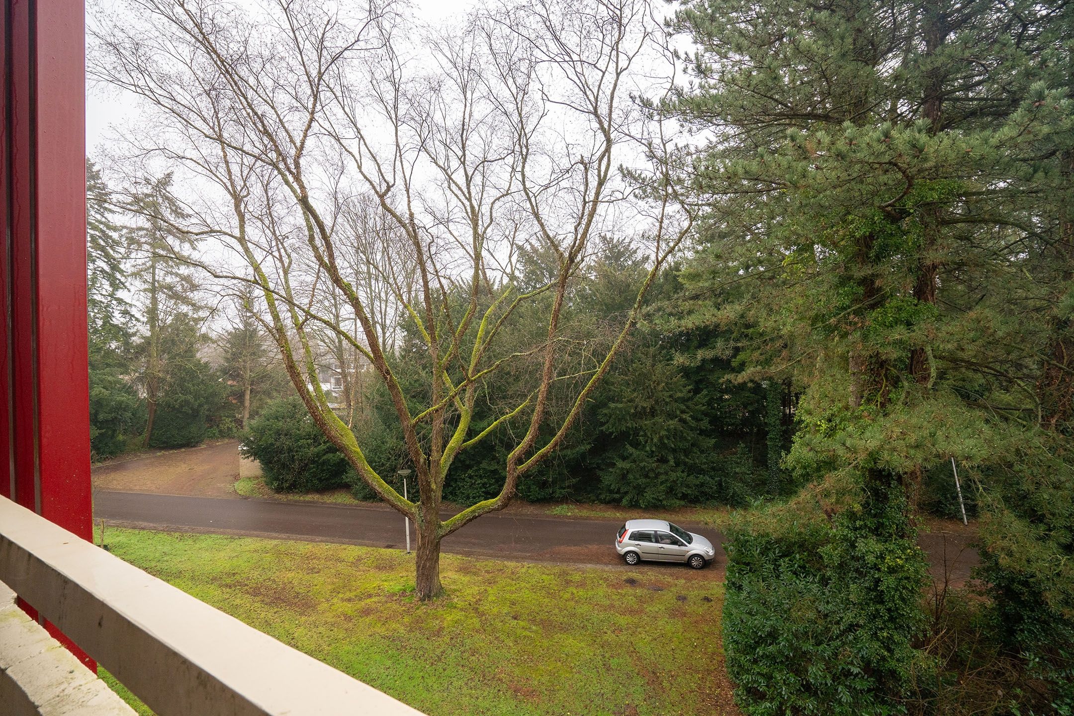 Foto 21 van Park de Kotten 227