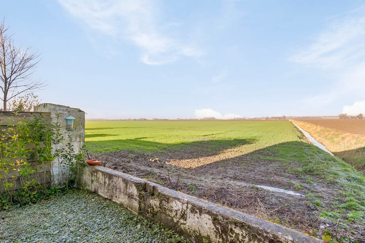 Foto 21 van Kwakkel 23