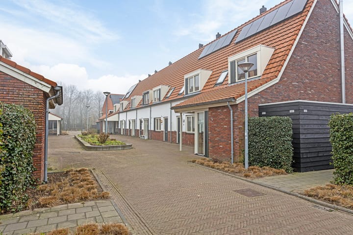 Foto 32 van Op het Veld 4