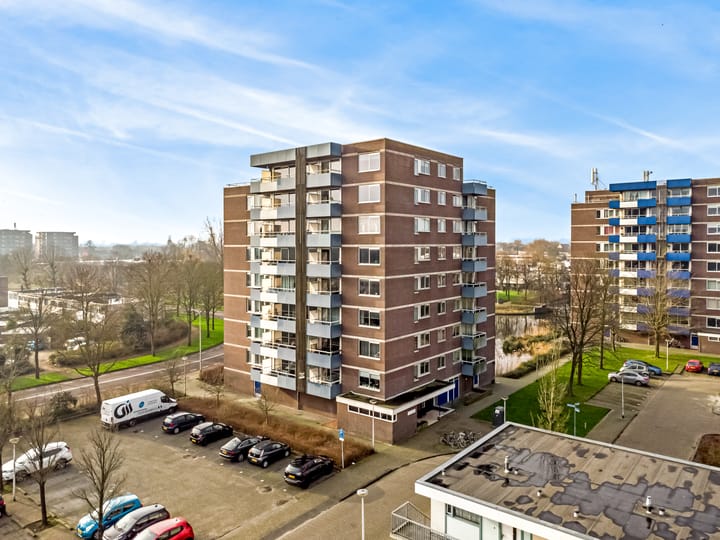 Foto 1 van Boterbloem 51