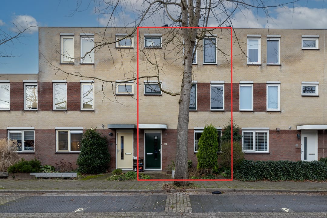 Foto 2 van Korenbloem 22