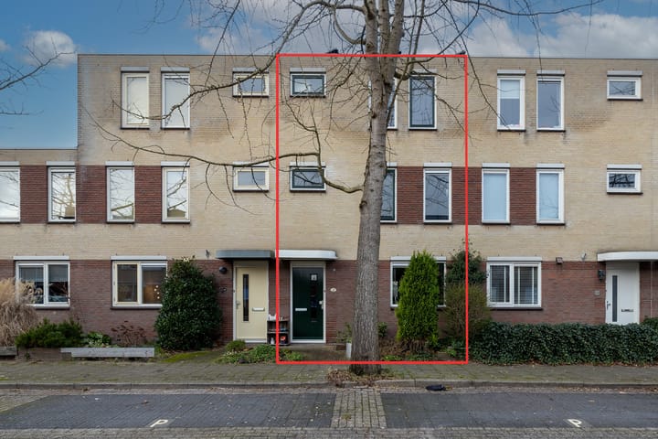 Foto 2 van Korenbloem 22