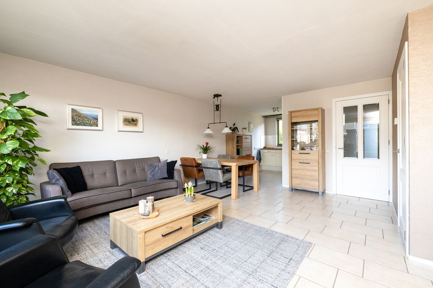 Foto 4 van Korenbloem 22