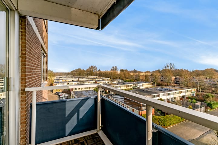 Foto 16 van Boterbloem 51