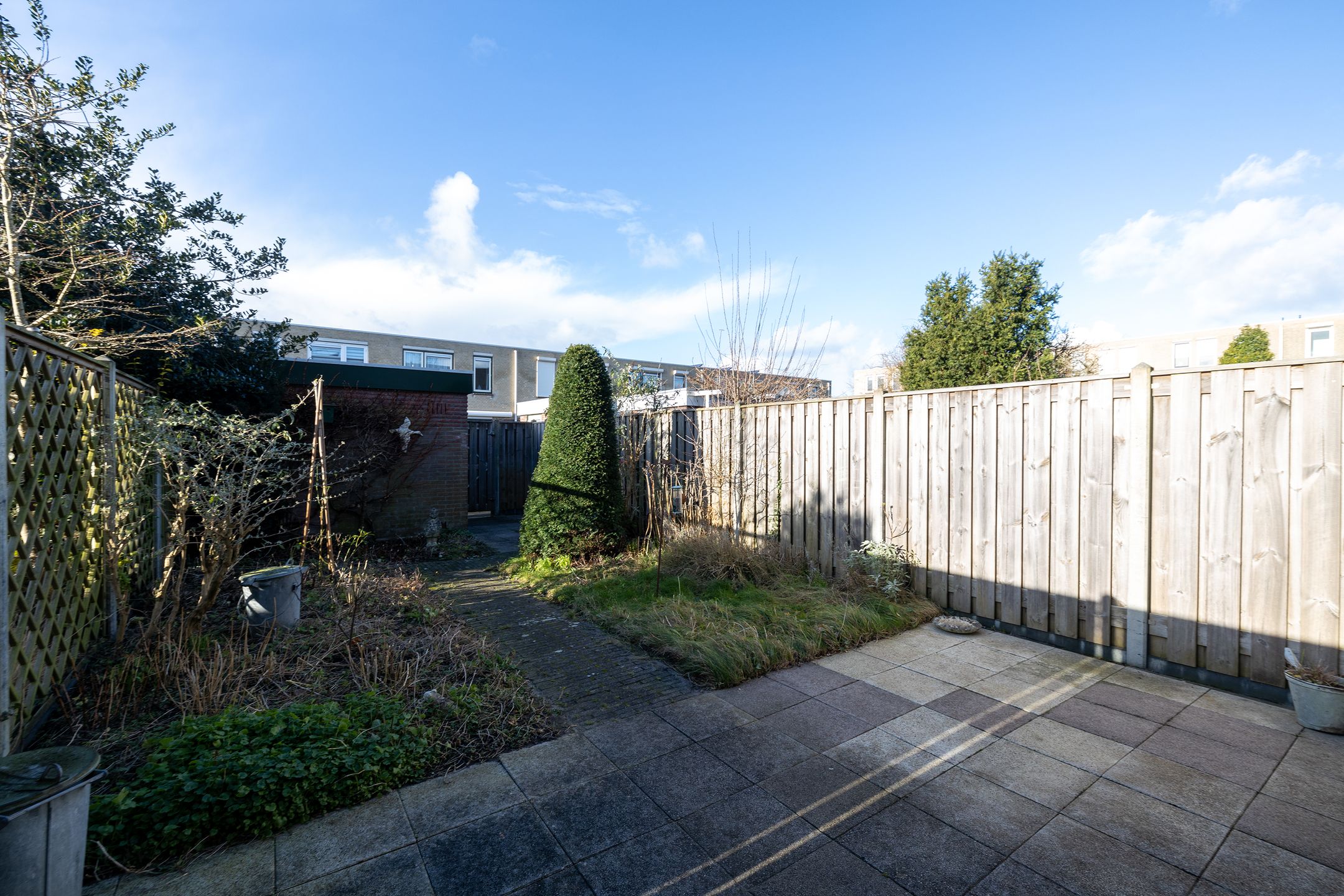 Foto 12 van Korenbloem 22