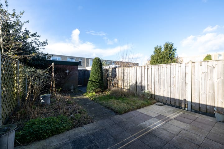 Foto 12 van Korenbloem 22