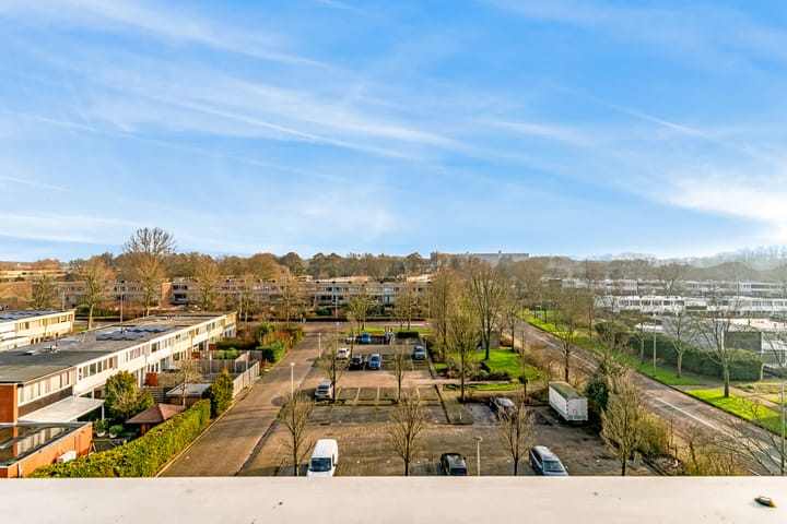 Foto 17 van Boterbloem 51