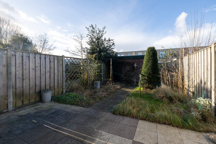 Foto 13 van Korenbloem 22