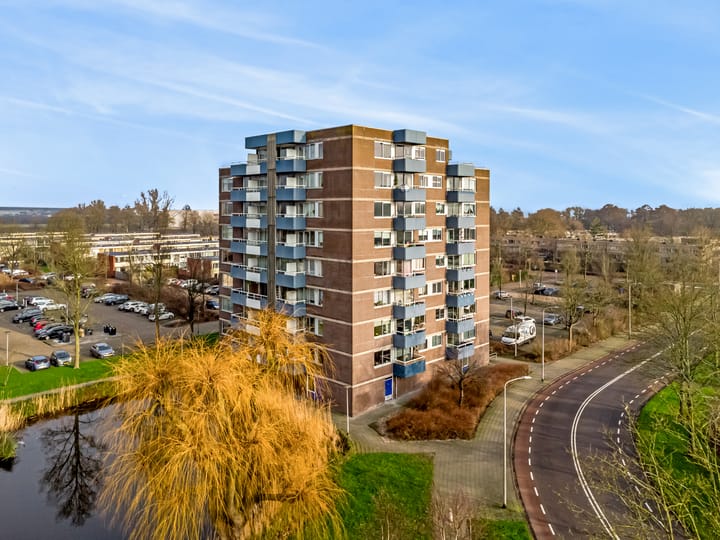 Foto 18 van Boterbloem 51