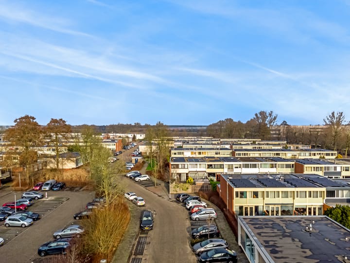 Foto 19 van Boterbloem 51